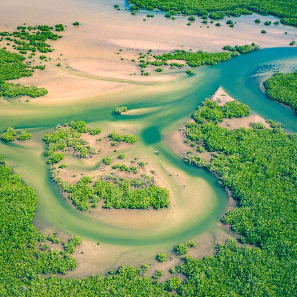 aerial, senegal, africa-4812430.jpg